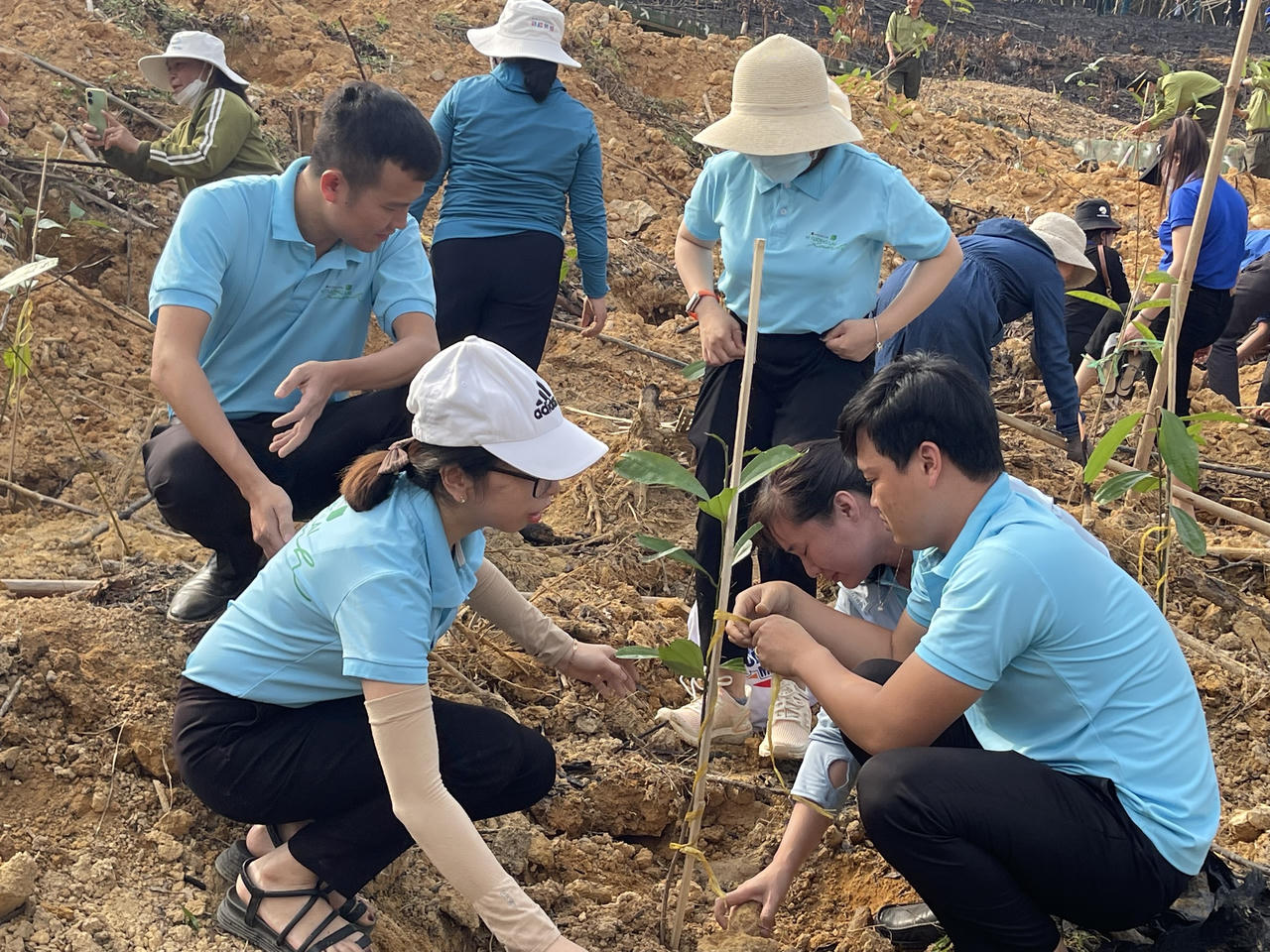 Quảng Ngãi ra quân trồng hàng chục nghìn cây xanh dịp đầu năm mới