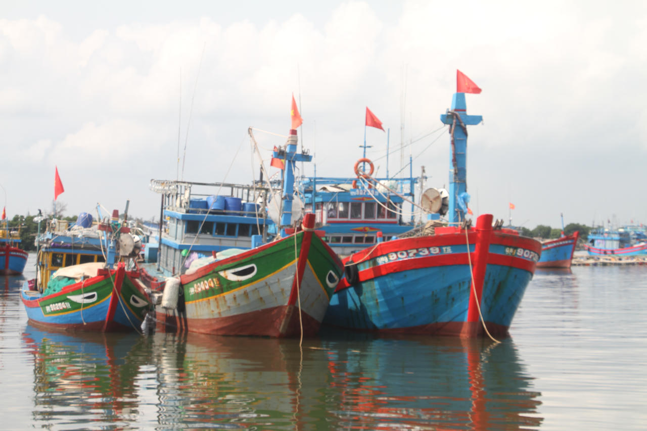 Nhiều tàu cá tại Quảng Nam, Quảng Ngãi phải 'nằm bờ' vì khó tìm lao động đi biển