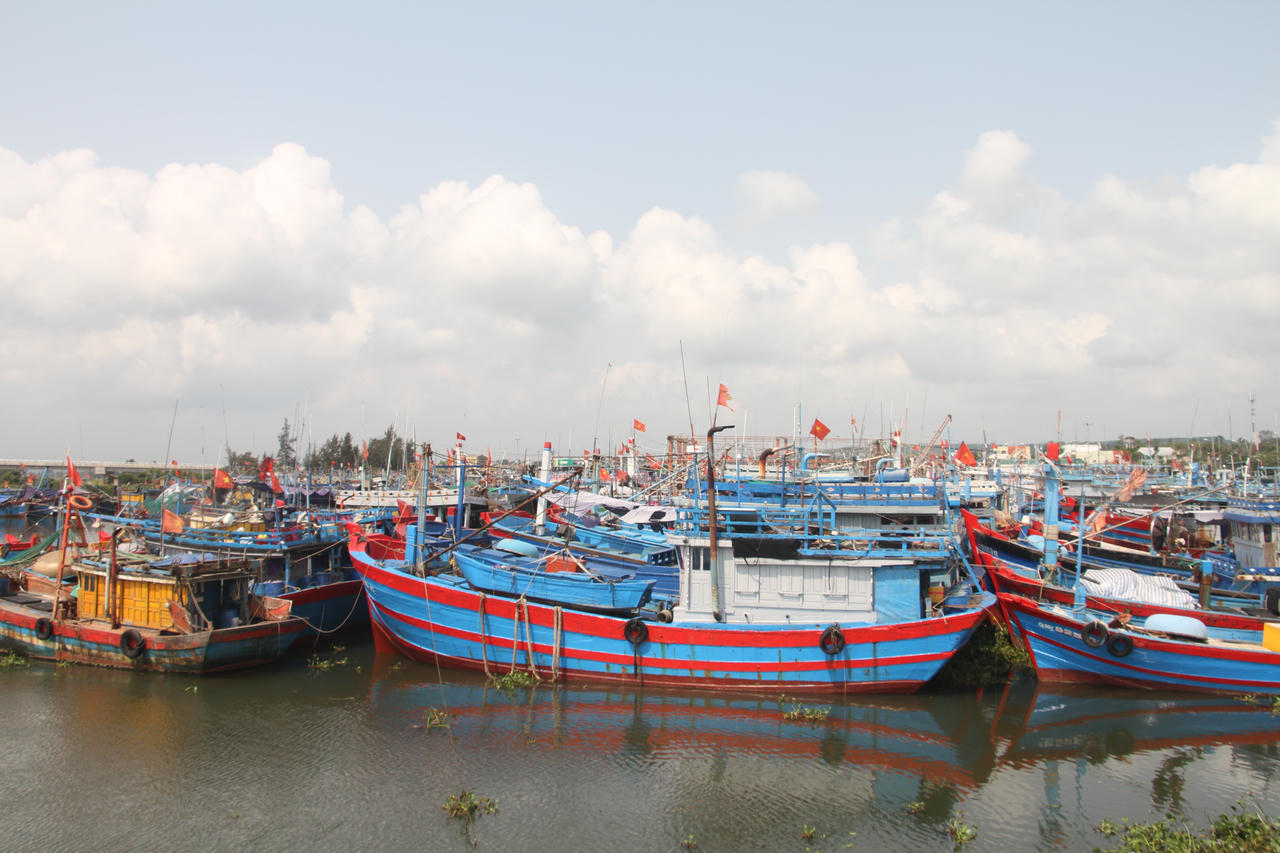 Nhiều tàu cá tại Quảng Nam, Quảng Ngãi phải 'nằm bờ' vì khó tìm lao động đi biển