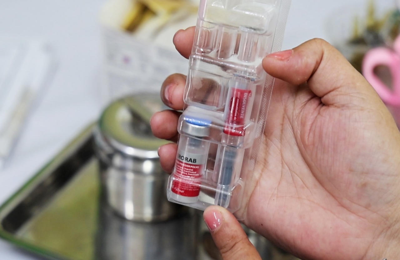 Số người tiêm phòng bệnh dại ở Quảng Ngãi tăng cao