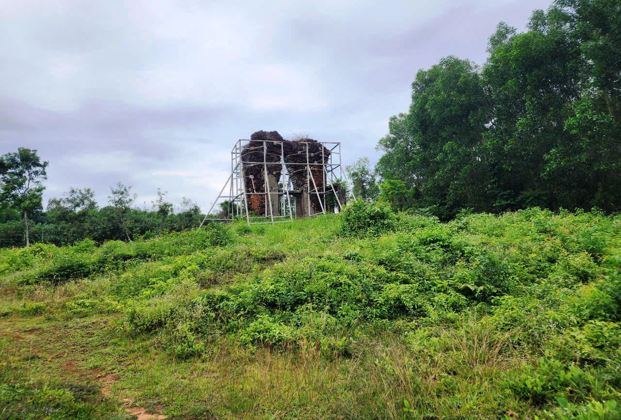 Quảng Nam muốn đầu tư 12 tỷ đồng 'cứu' phật viện Đồng Dương