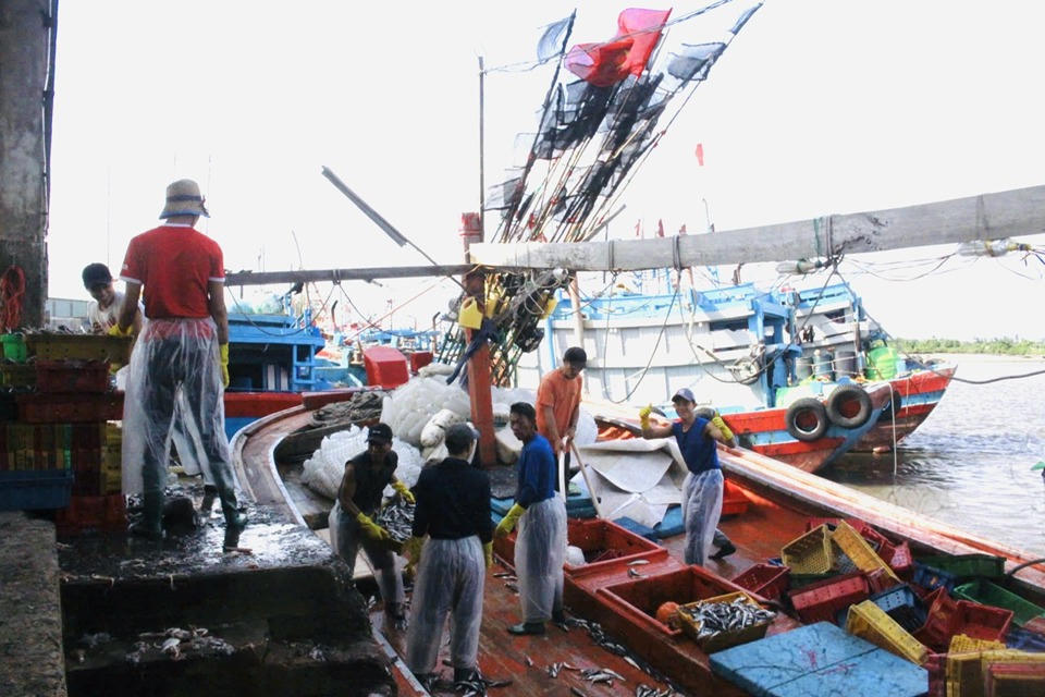 Ngư dân Quảng Ngãi bỏ dở phiên biển, hối hả ' chạy' bão Trà Mi