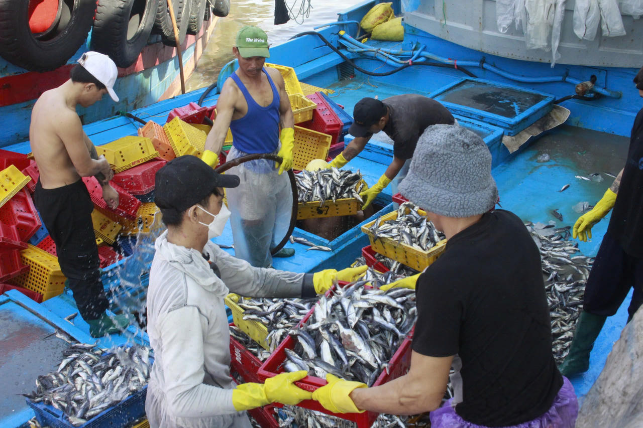 Ngư dân Quảng Ngãi bỏ dở phiên biển, hối hả ' chạy' bão Trà Mi