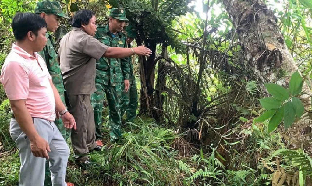 Nứt toác 1 quả đồi, Quảng Nam công bố tình huống khẩn cấp