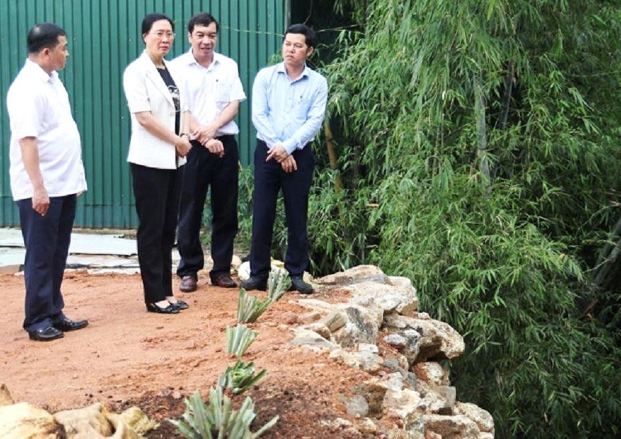 Bờ sông Vệ sạt lở nghiêm trọng: Bí thư Quảng Ngãi yêu cầu lên phương án bảo vệ khẩn cấp
