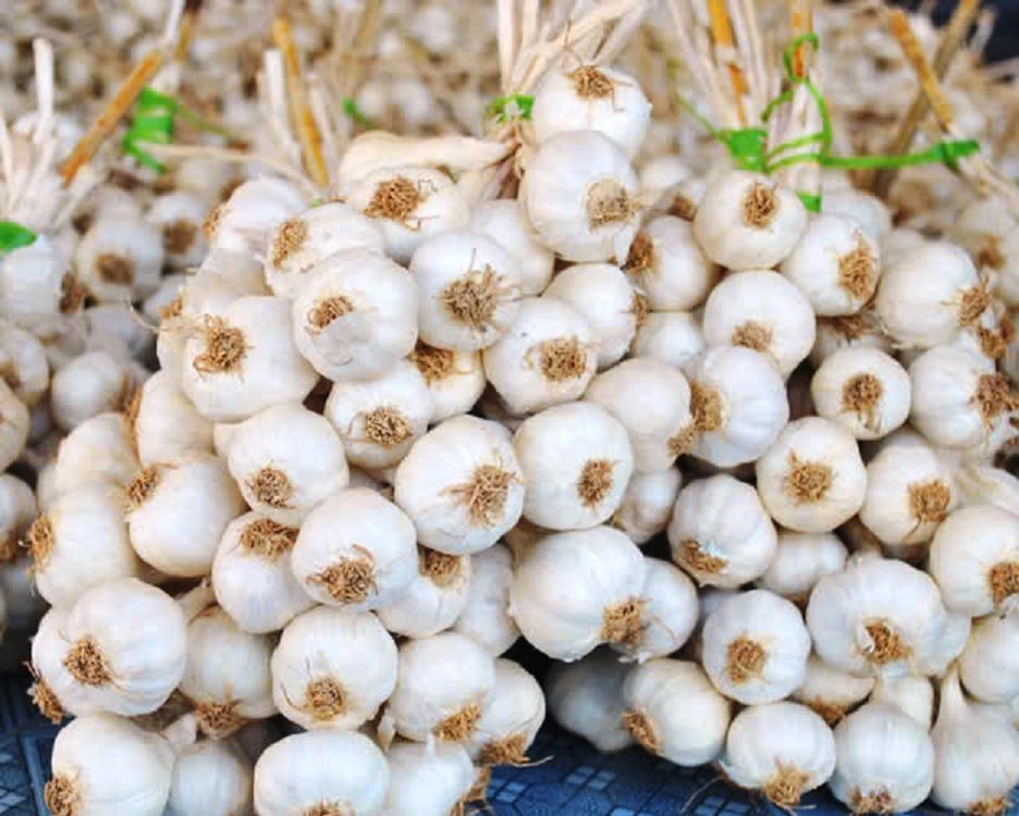 Quảng Ngãi chọn 10 sản phẩm OCOP giới thiệu phân phối thị trường Mỹ