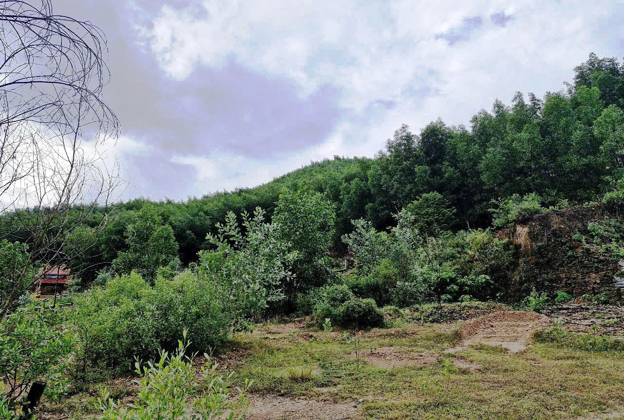 Một mỏ đất san lấp được đấu giá tăng gần 60 lần