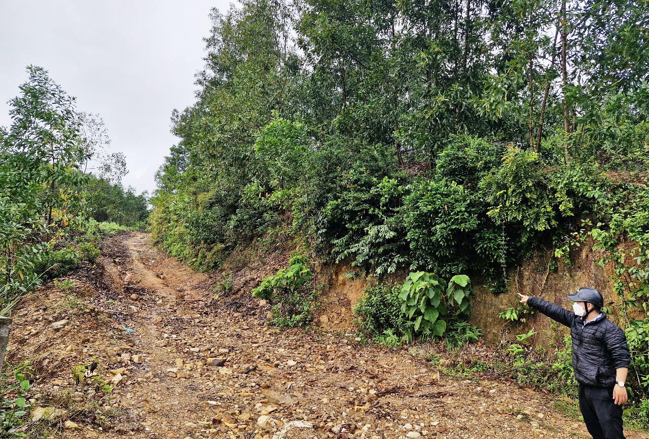 Một mỏ đất san lấp được đấu giá tăng gần 60 lần