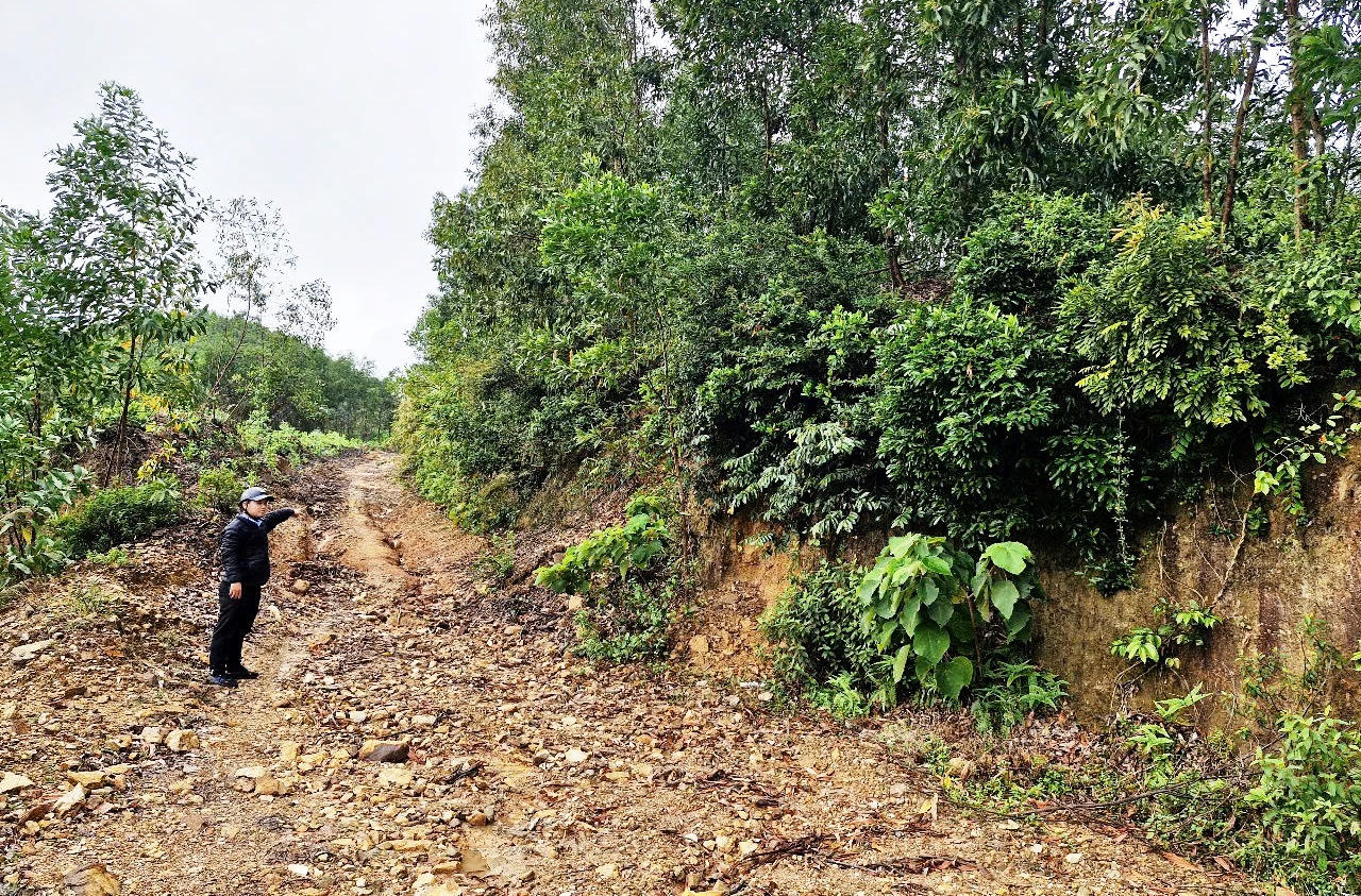 Một mỏ đất san lấp được đấu giá tăng gần 60 lần