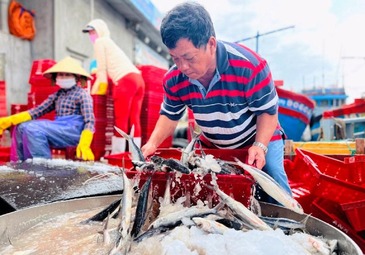  100% xã, phường TP Quảng Ngãi đạt chuẩn nông thôn mới