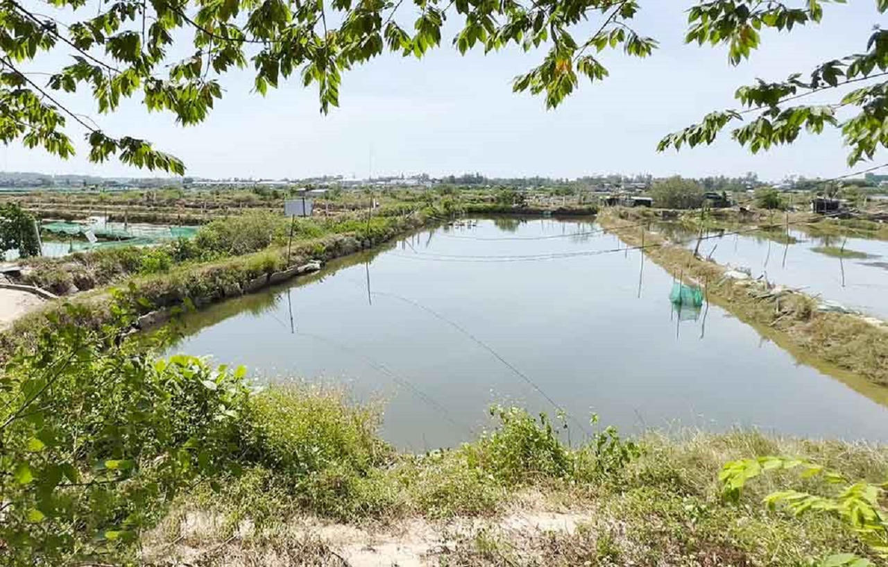 Quảng Ngãi đẩy mạnh gỡ vướng mặt bằng dự án nâng cấp cảng cá Tịnh Hòa