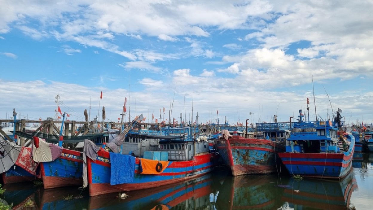 Quảng Ngãi đẩy mạnh gỡ vướng mặt bằng dự án nâng cấp cảng cá Tịnh Hòa