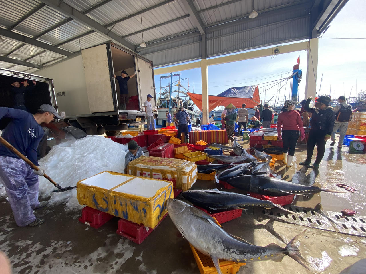 Quảng Ngãi đẩy mạnh gỡ vướng mặt bằng dự án nâng cấp cảng cá Tịnh Hòa