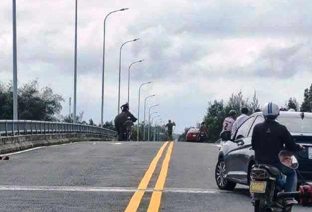 Voi xổng chuồng lang thang trên đường quốc lộ 14E ở Quảng Nam