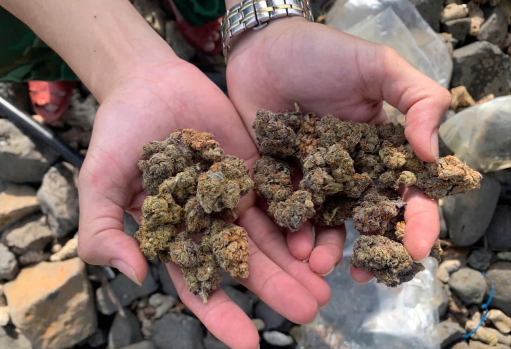 Lại phát hiện thêm 17 túi nilon chứa ma túy trôi vào bờ biển Quảng Ngãi