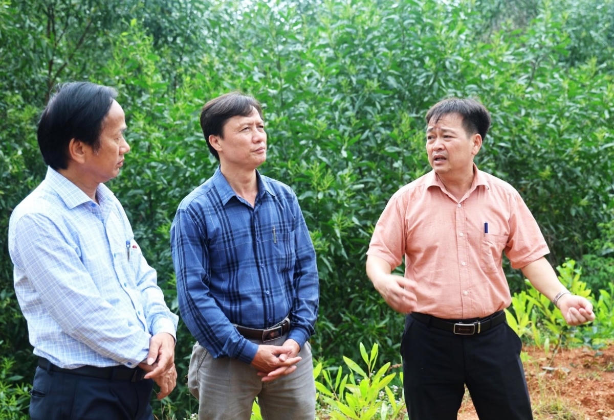 Tăng cường giám sát việc phục hồi môi trường các mỏ đất hết hạn