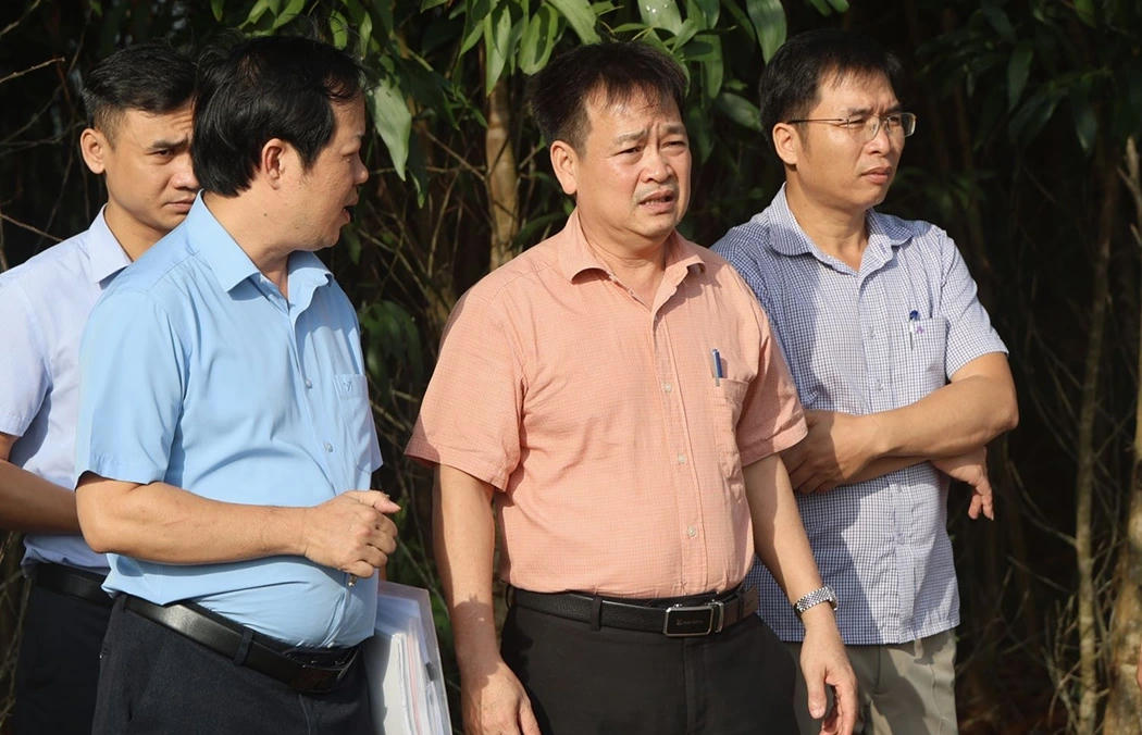 Tăng cường giám sát việc phục hồi môi trường các mỏ đất hết hạn