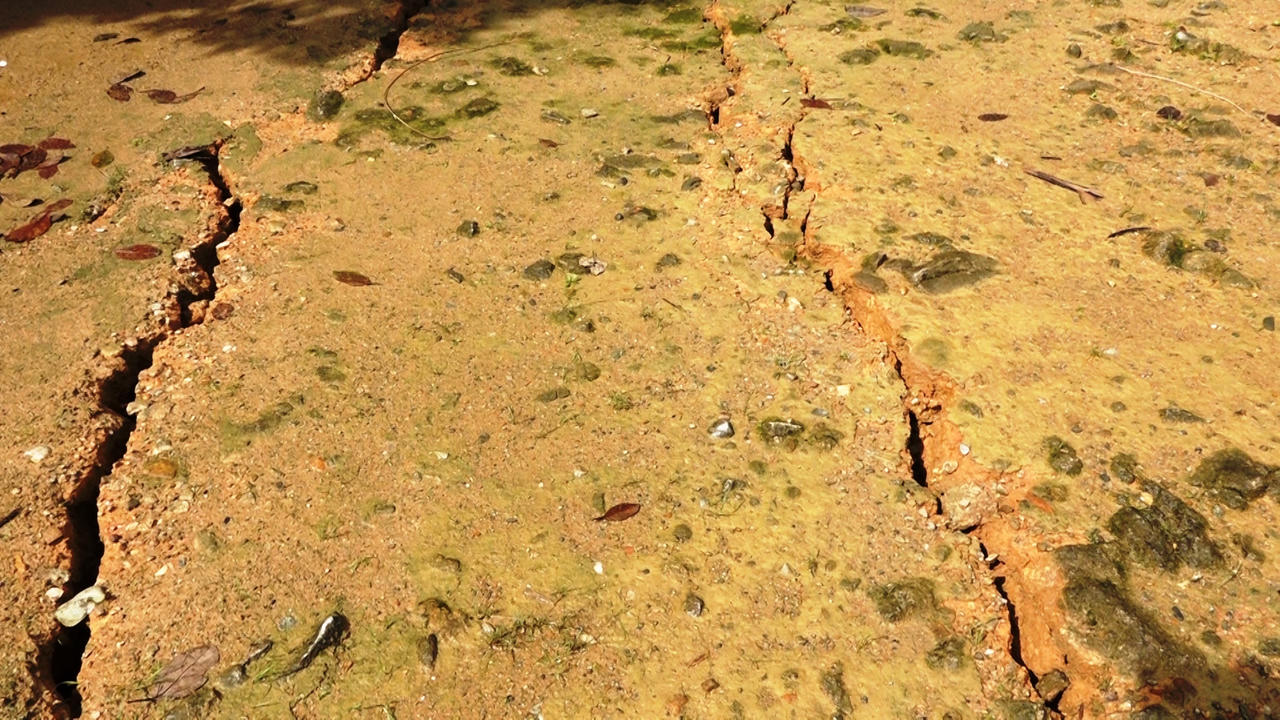 Vết nứt lớn xuất hiện giữa 1 làng ở huyện Bắc Trà My, sơ tán khẩn cấp 10 hộ dân