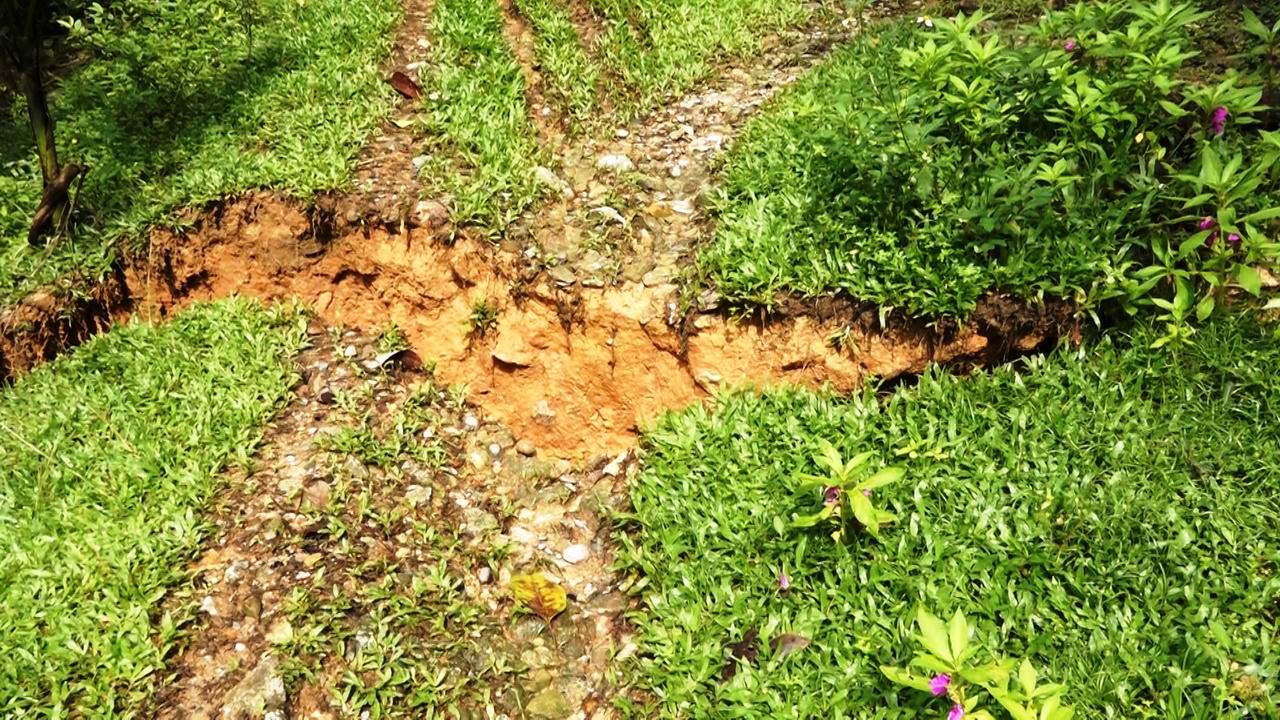 Vết nứt lớn xuất hiện giữa 1 làng ở huyện Bắc Trà My, sơ tán khẩn cấp 10 hộ dân