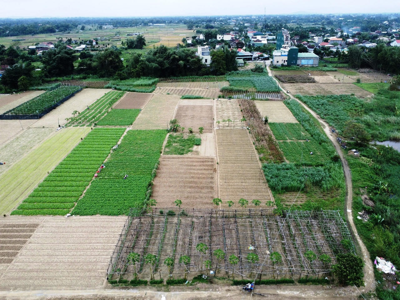  100% xã, phường TP Quảng Ngãi đạt chuẩn nông thôn mới