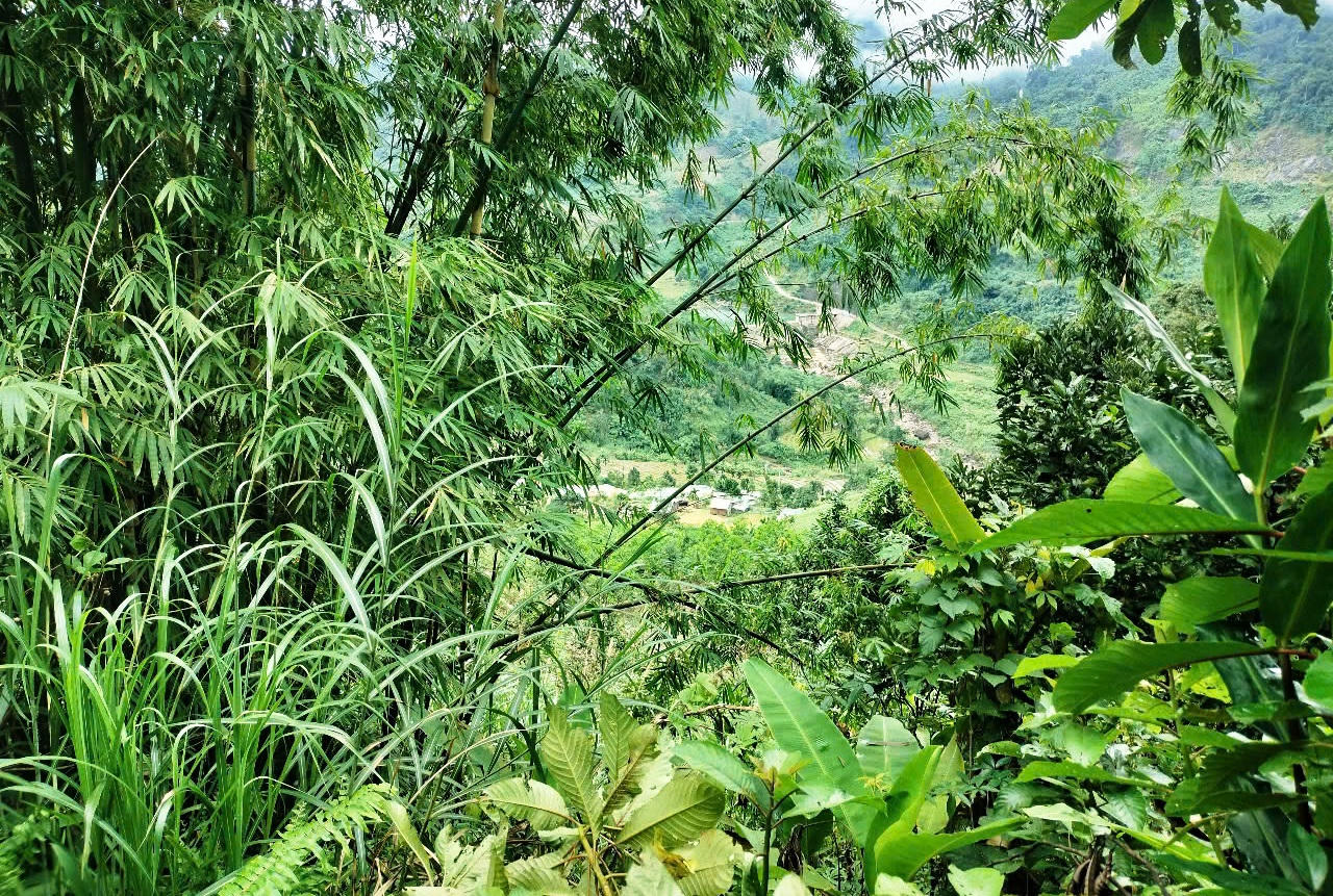 Động đất, nhiều tảng đá lớn lăn xuống đe doạ ngôi làng ở Quảng Nam