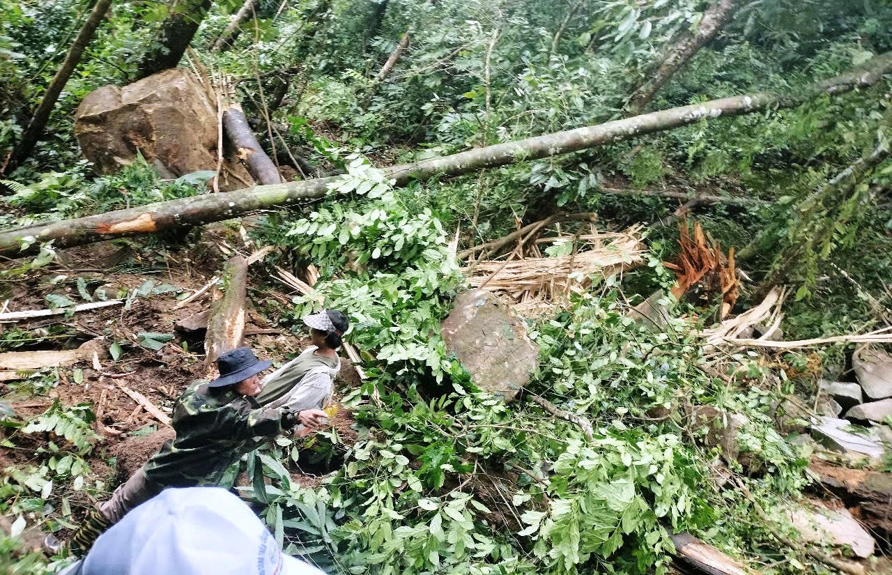 Liên tiếp xảy ra 3 trận động đất ở Quảng Nam, Kon Tum, người dân cảm nhận rung lắc