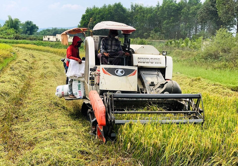 Quảng Ngãi lấy nông dân là chủ thể của chuyển đổi số nông nghiệp