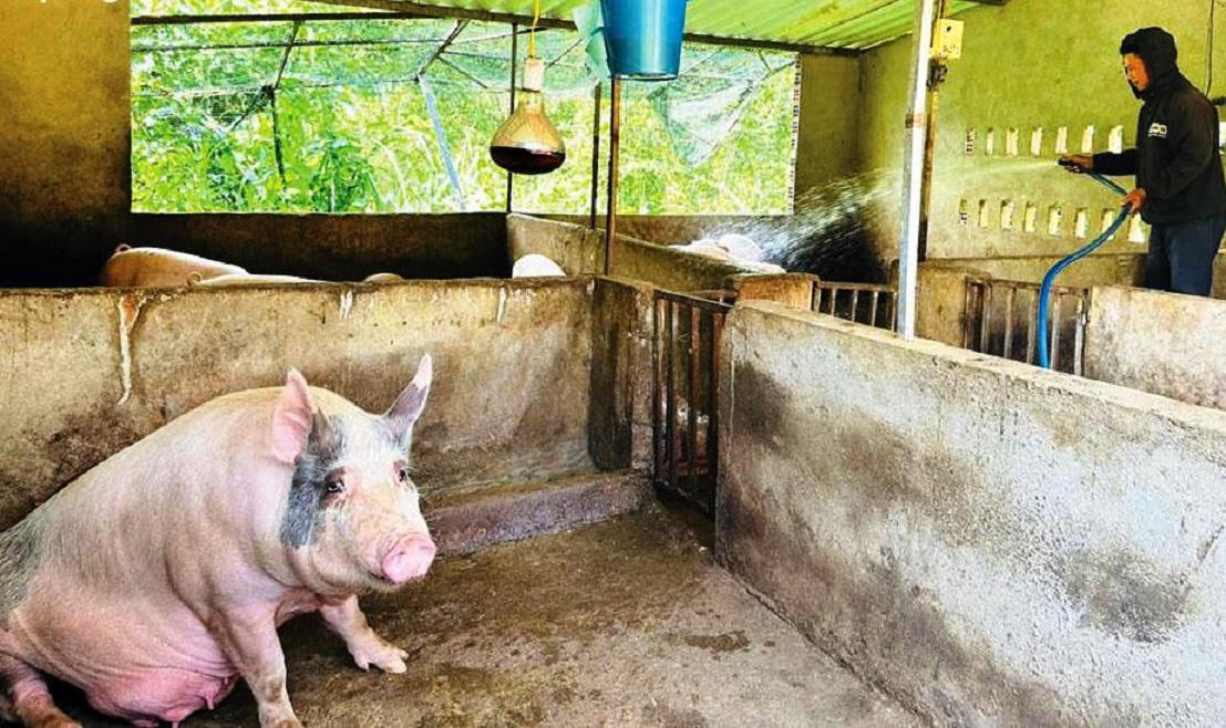 Quảng Ngãi giảm nghèo bền vững nhờ truyền thông hiệu quả