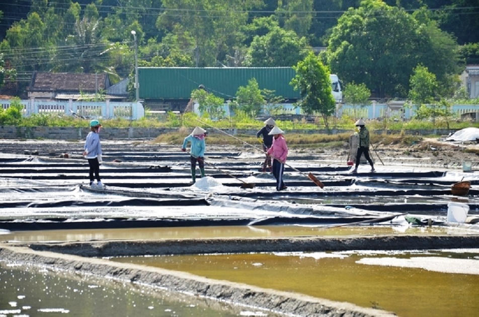 Làng muối Sa Huỳnh và hướng đi phát triển du lịch cộng đồng