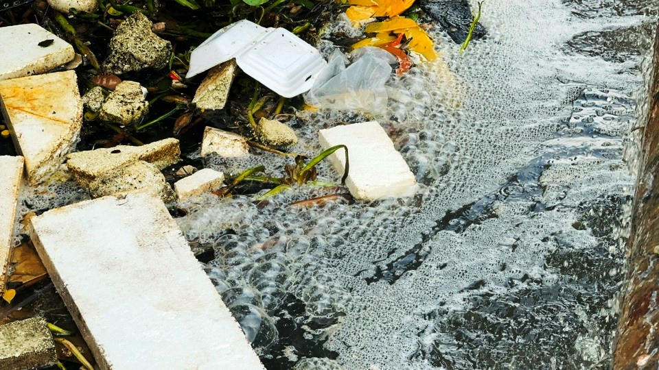 Ô nhiễm nước thải tại các cảng cá Quảng Ngãi