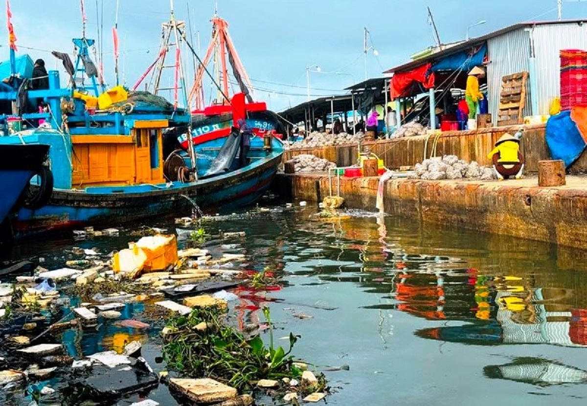 Ô nhiễm nước thải tại các cảng cá Quảng Ngãi