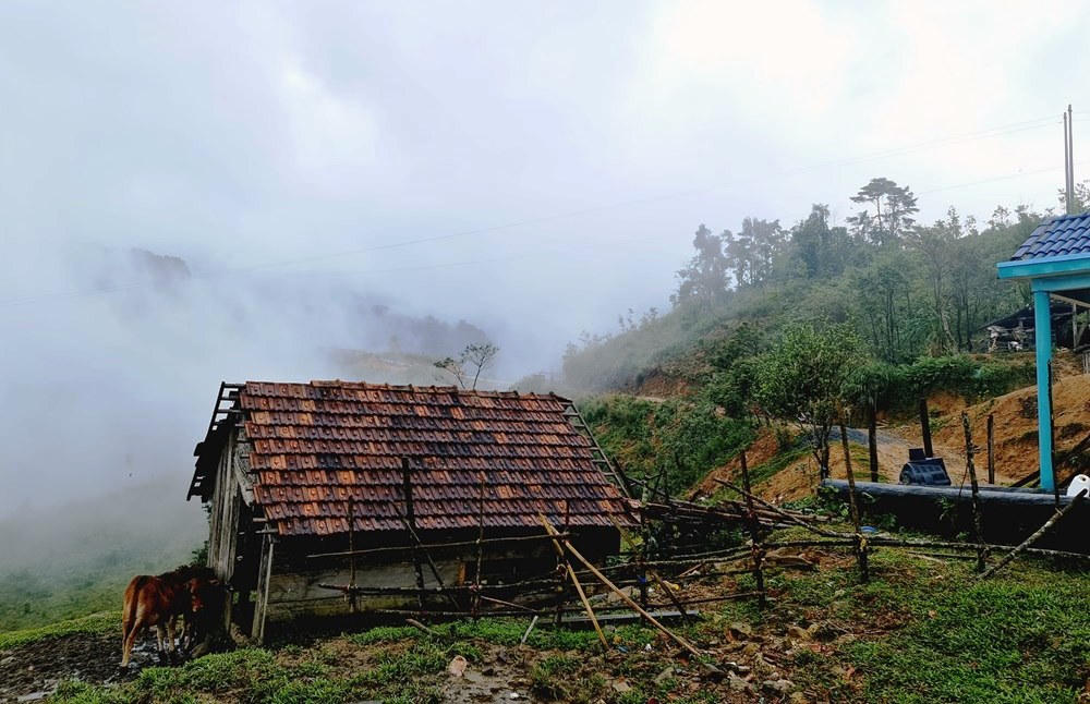 Quảng Ngãi 'siết' giám sát nhằm ngăn chặn việc lợi dụng chủ trương xóa nhà tạm để phá rừng