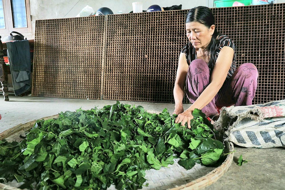 Quảng Ngãi hỗ trợ làng nghề, ngành nghề nông thôn để phát triển du lịch