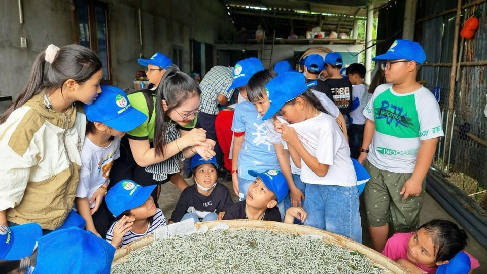 Quảng Ngãi hỗ trợ làng nghề, ngành nghề nông thôn để phát triển du lịch