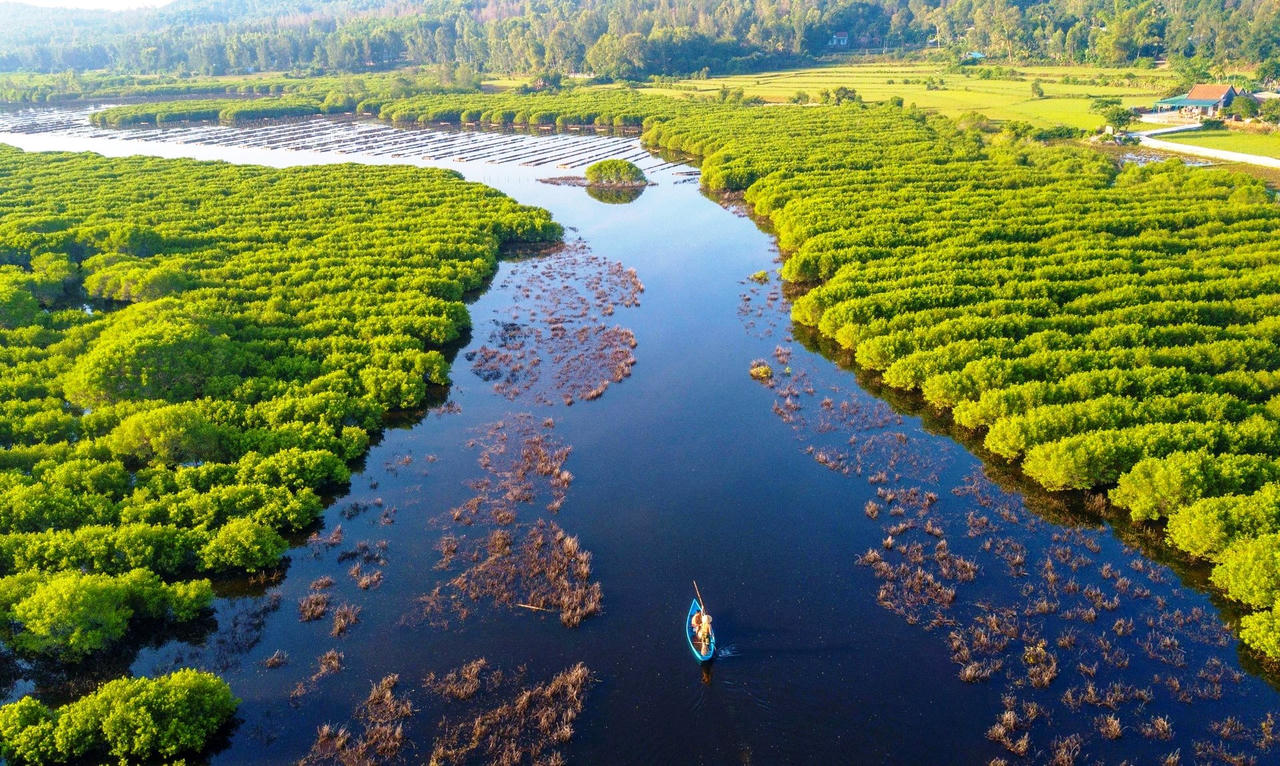 Ngắm nhìn vẻ đẹp hoang sơ, lạ mắt của rừng ngập mặn Bàu Cá Cái