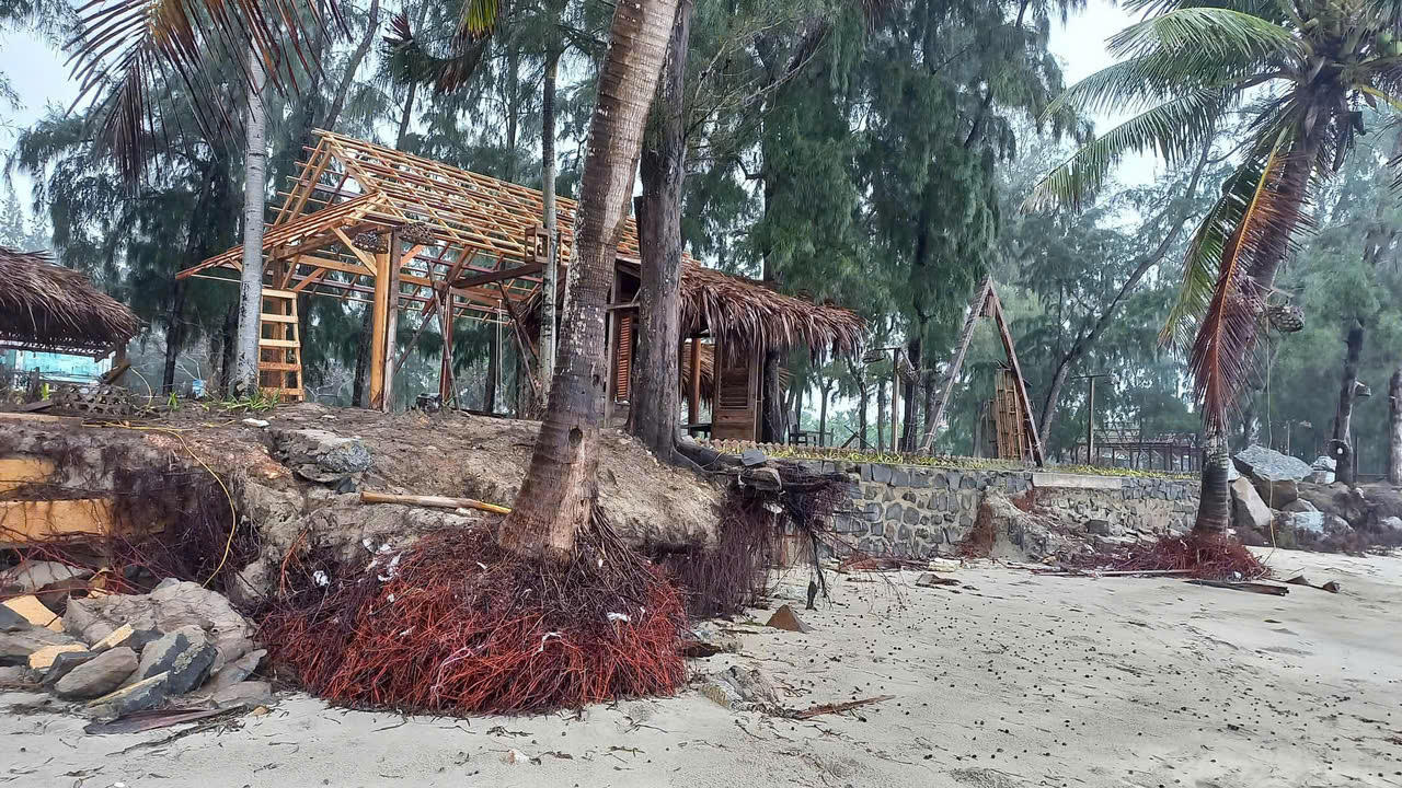 Bãi biển đẹp nhất Quảng Ngãi bị sạt lở, uy hiếp đường giao thông