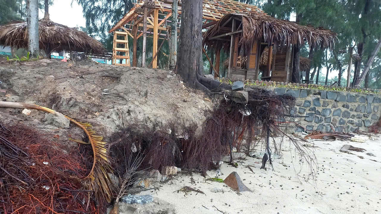 Bãi biển đẹp nhất Quảng Ngãi bị sạt lở, uy hiếp đường giao thông