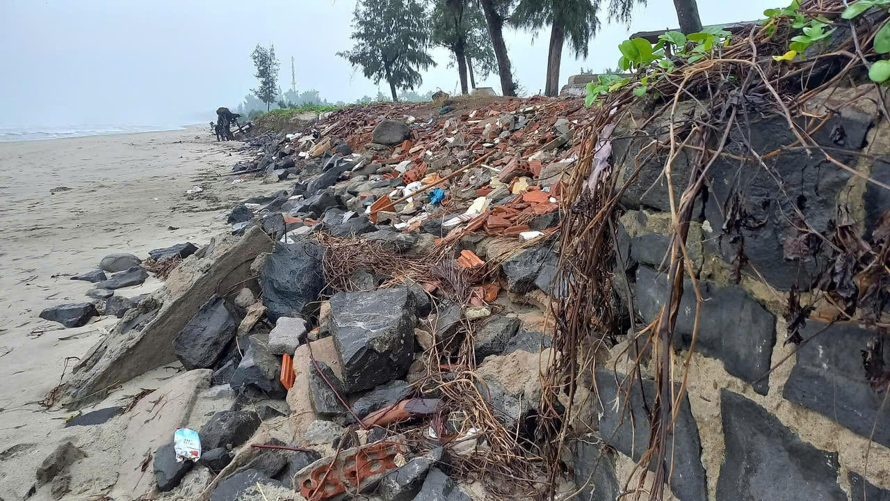 Bãi biển đẹp nhất Quảng Ngãi bị sạt lở, uy hiếp đường giao thông