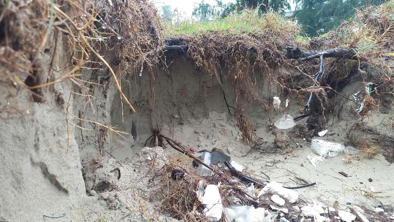 Bãi biển đẹp nhất Quảng Ngãi bị sạt lở, uy hiếp đường giao thông