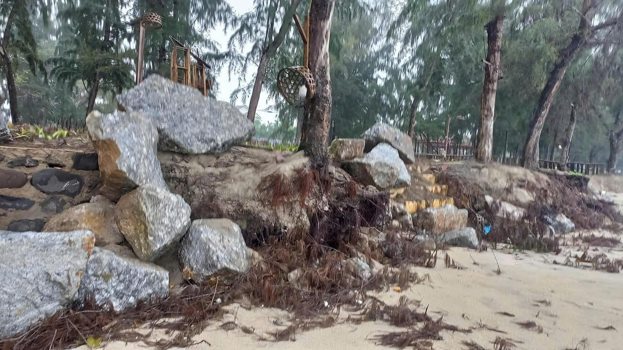 Bãi biển đẹp nhất Quảng Ngãi bị sạt lở, uy hiếp đường giao thông