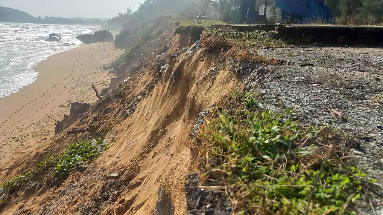 Bãi biển đẹp nhất Quảng Ngãi bị sạt lở, uy hiếp đường giao thông