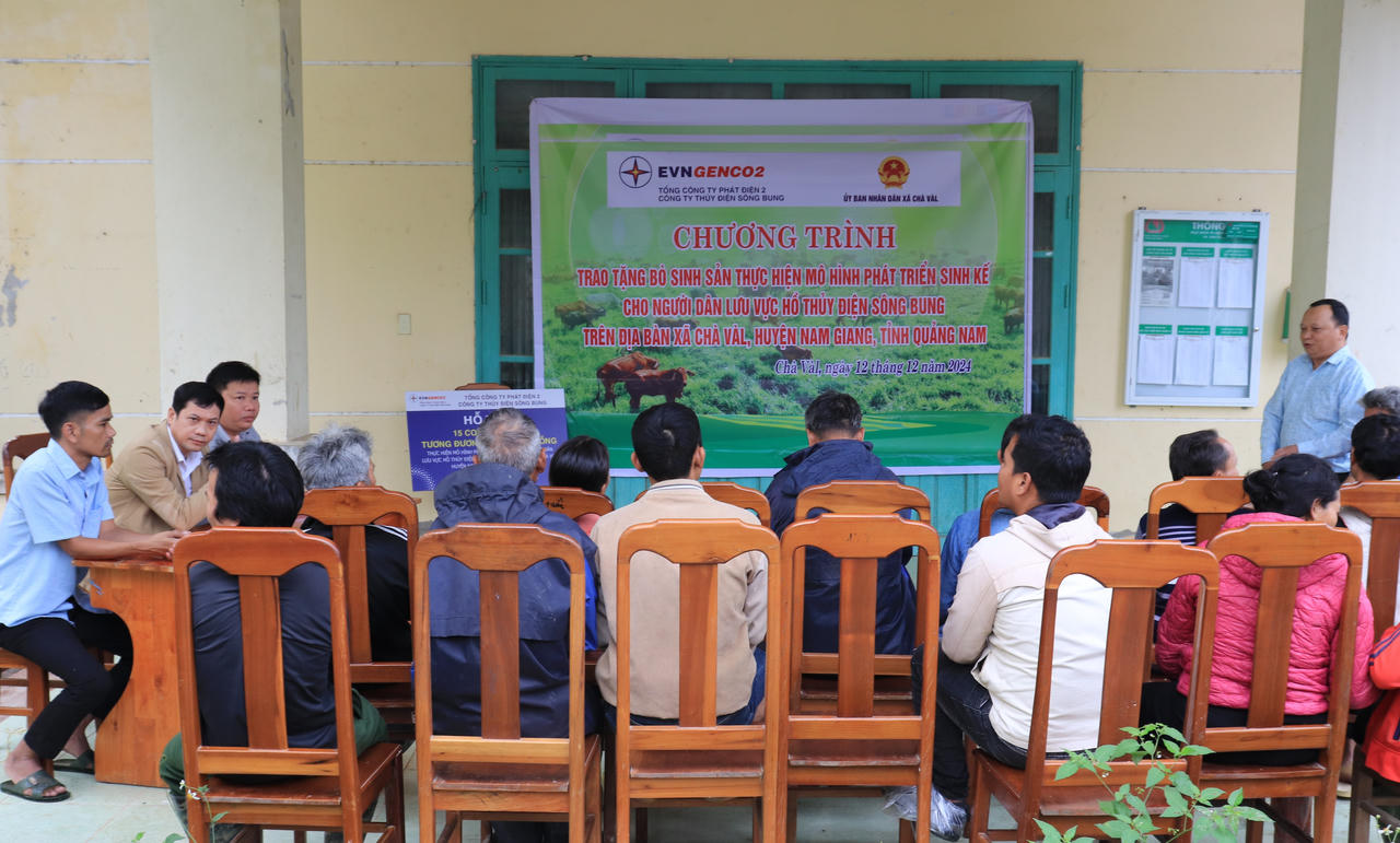 Công ty Thủy điện Sông Bung tặng 30 con bò giống cho người nghèo ở Quảng Nam