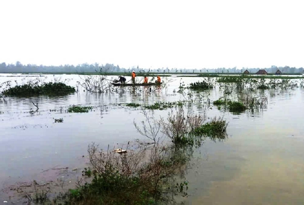 Hai mẹ con tử vong khi bắt cá trên sông ở Quảng Nam
