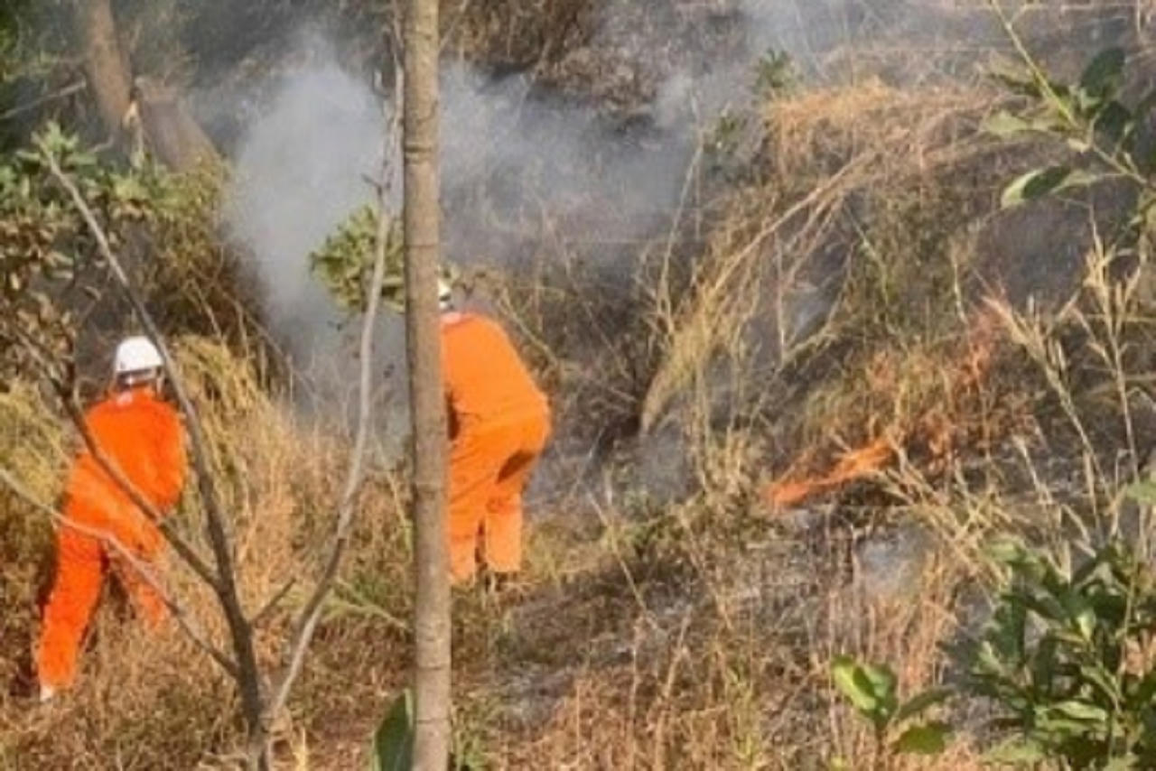 Công ty CP Nhiệt điện Phả Lại phối hợp tốt với địa phương trong công tác PCCC