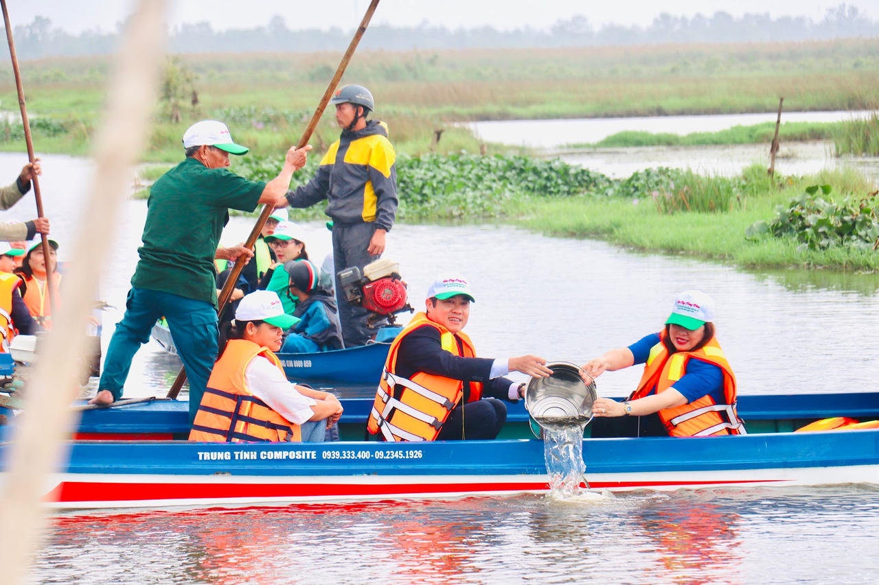 “Đài quan sát” hơn 500 tuổi ở Tam Kỳ được công nhận là cây di sản