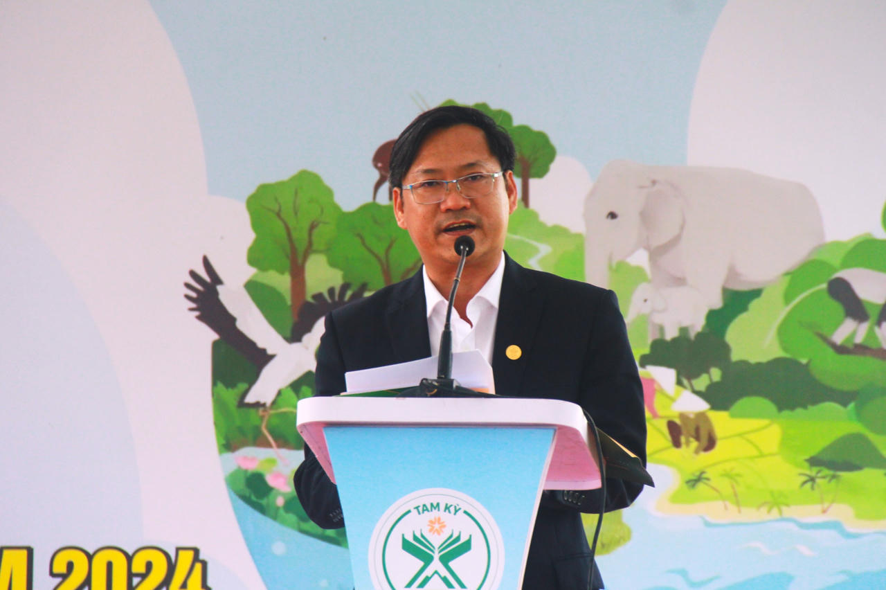 “Đài quan sát” hơn 500 tuổi ở Tam Kỳ được công nhận là cây di sản