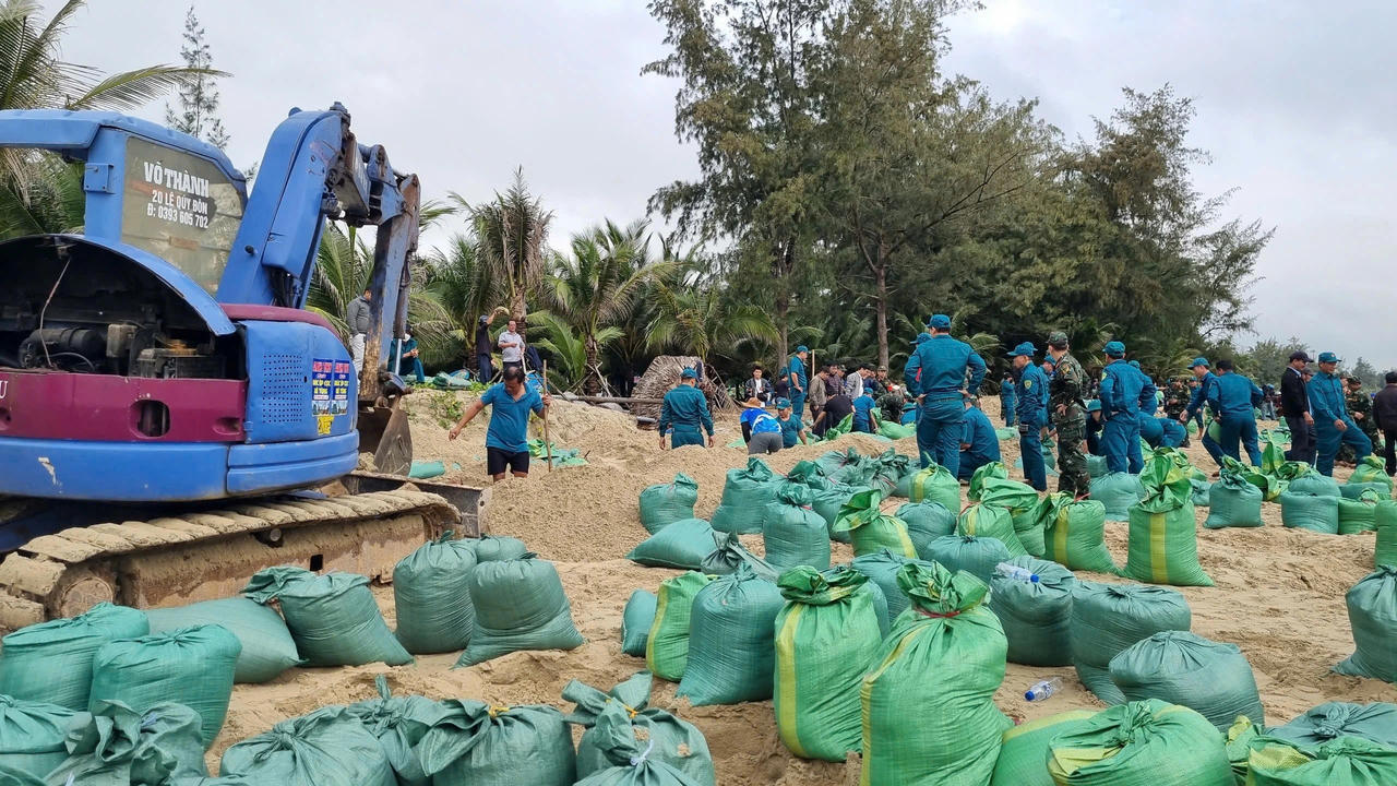 Hàng trăm người đắp kè, 'cứu' bờ biển đẹp nhất Quảng Ngãi