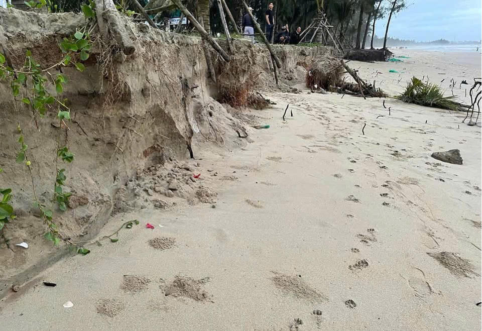 Hàng trăm người đắp kè, 'cứu' bờ biển đẹp nhất Quảng Ngãi