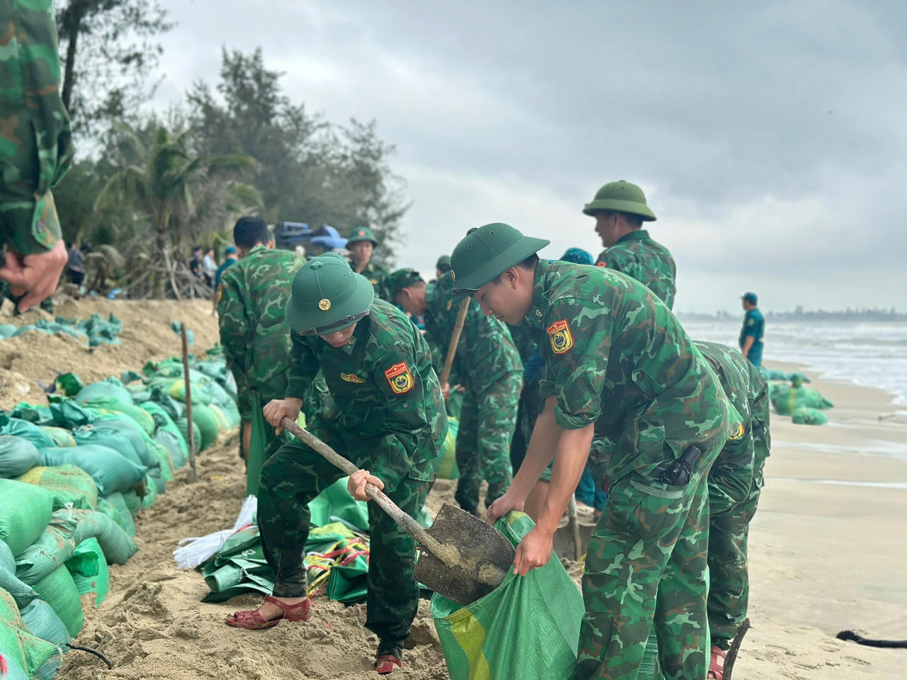 Hàng trăm người đắp kè, 'cứu' bờ biển đẹp nhất Quảng Ngãi