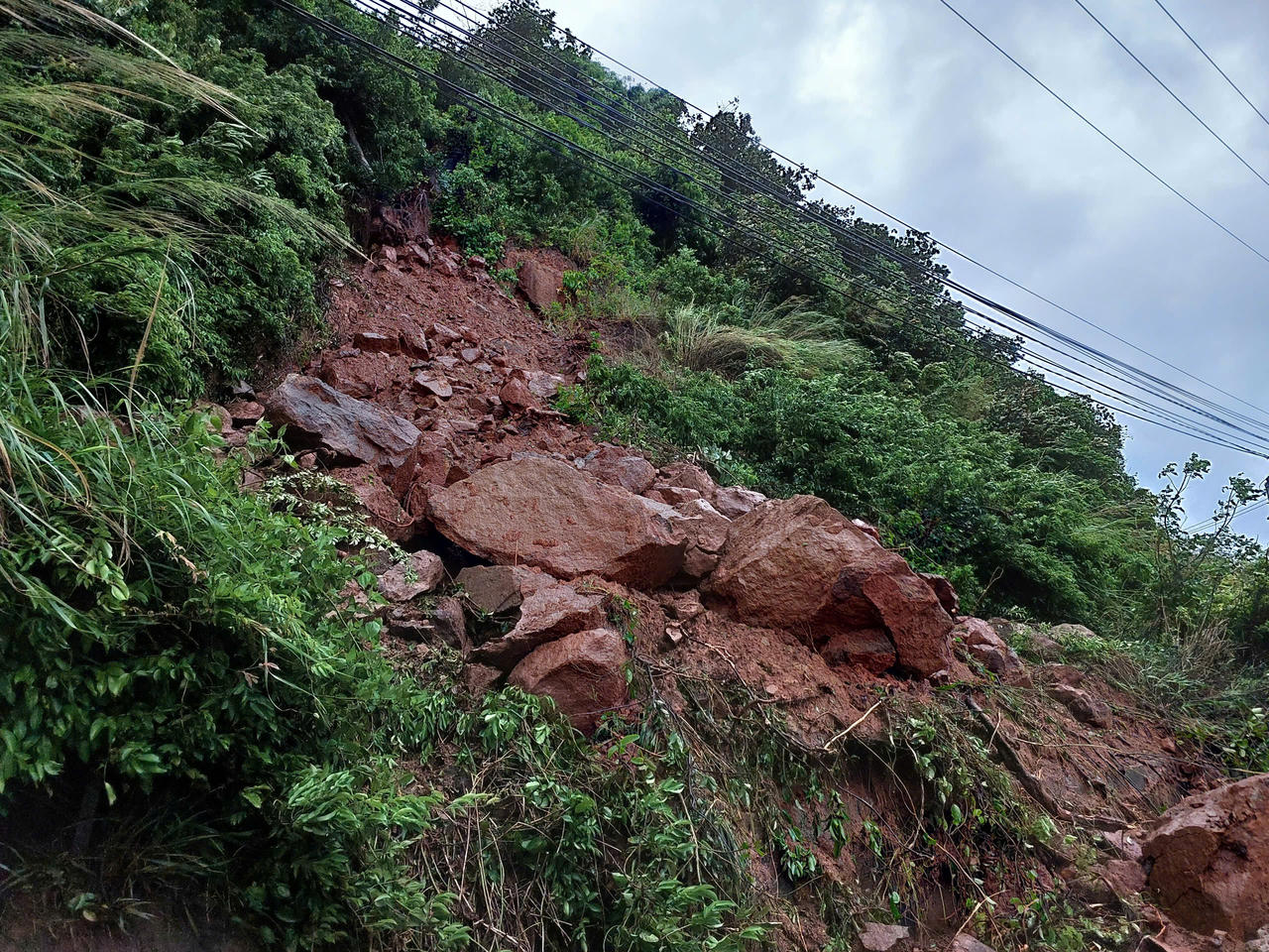 Tạm dừng tham quan bán đảo Sơn Trà do sạt lở nghiêm trọng sau bão số 1